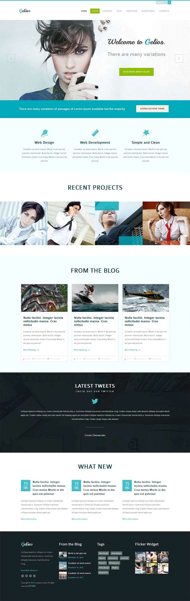 简洁的bootstrap响应式网络服务网站模板源码_响应式网站模板插图