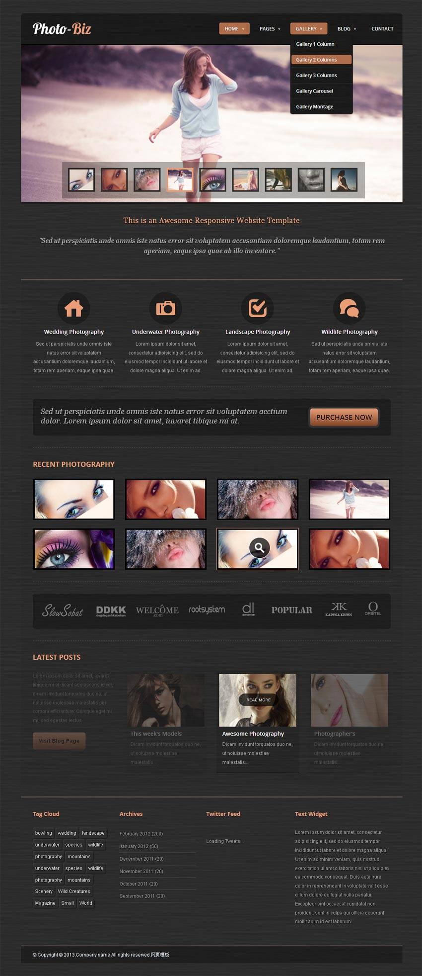 黑色的响应式html5摄影网站模板下载_响应式网站模板插图