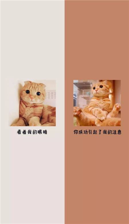 抖音最火情侣分割线聊天背景图 微信聊天隔离壁纸图片好看可爱_QQ皮肤插图5