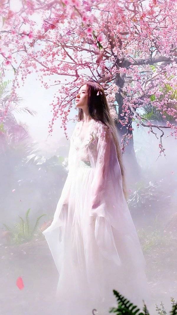 电影三生三世十里桃花手机壁纸 杨洋刘亦菲唯美图片_QQ皮肤插图4