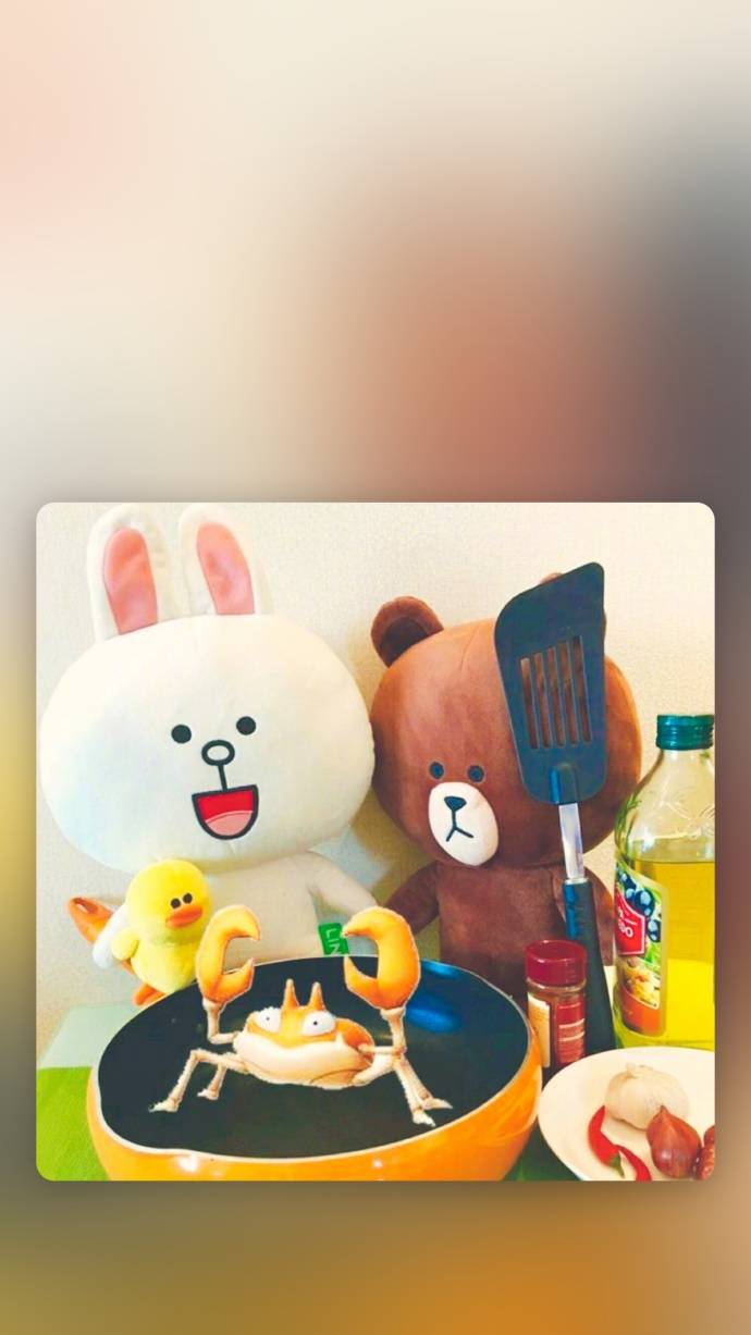 超萌布朗熊手机壁纸情侣系列 一生的幸福大概就是看着你笑_QQ皮肤插图7