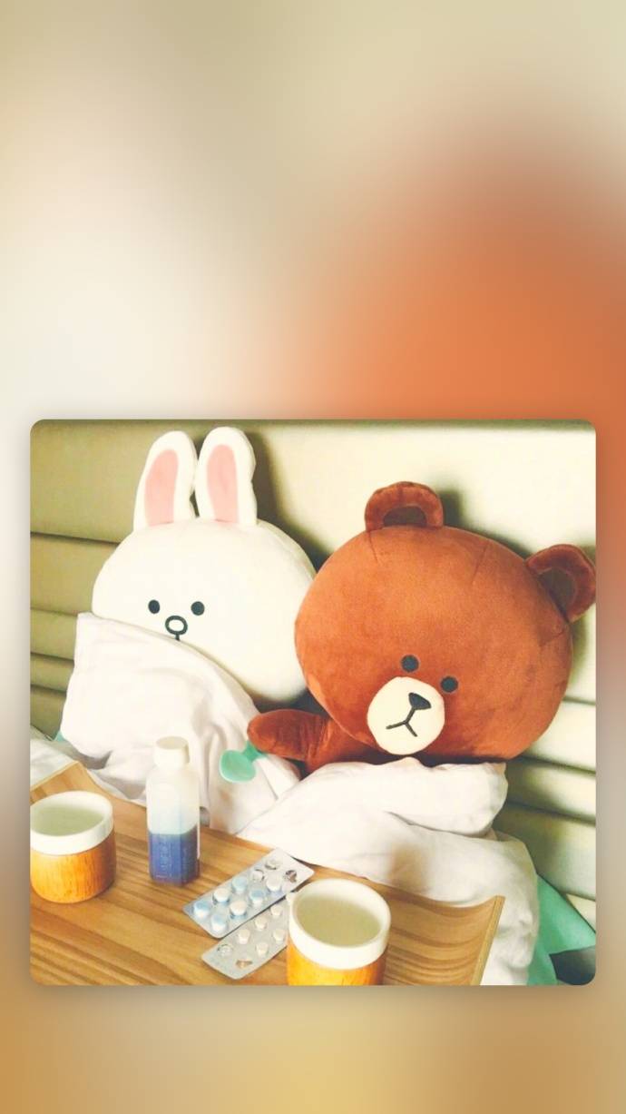 超萌布朗熊手机壁纸情侣系列 一生的幸福大概就是看着你笑_QQ皮肤插图3