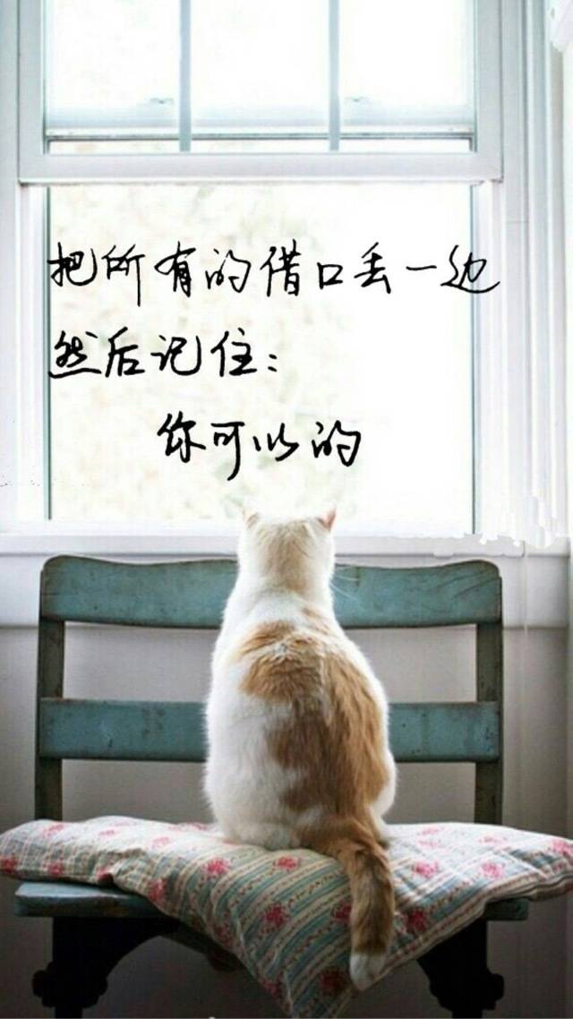 情侣专属的微信皮肤带字版2017 一生不讨喜只想做你意中人_QQ皮肤插图4