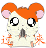 QQ表情 超搞笑动物系列（二）_QQ表情插图4