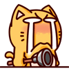 皮揣子搞笑QQ表情 小猫咪QQ表情_QQ表情插图2