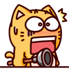 皮揣子搞笑QQ表情 小猫咪QQ表情_QQ表情插图1