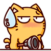皮揣子搞笑QQ表情 小猫咪QQ表情_QQ表情插图8