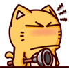 皮揣子搞笑QQ表情 小猫咪QQ表情_QQ表情插图11