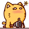 皮揣子搞笑QQ表情 小猫咪QQ表情_QQ表情插图14