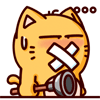 皮揣子搞笑QQ表情 小猫咪QQ表情_QQ表情插图12