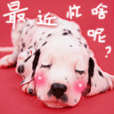 QQ表情 搞笑动物表情_QQ表情插图6