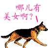 QQ表情 搞笑动物表情_QQ表情插图3