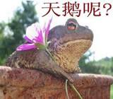 QQ群搞笑表情_体温计(啊,你发骚了)_QQ表情插图9