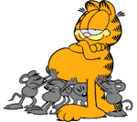 加菲猫搞笑QQ表情_QQ表情插图9