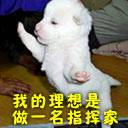 幽默搞笑QQ表情_QQ表情插图