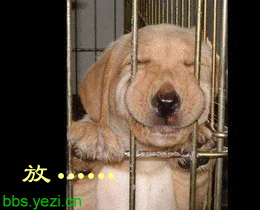 多类搞笑QQ表情_QQ表情插图19