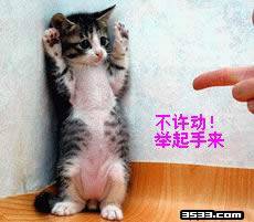 搞笑动物QQ表情_QQ表情插图16
