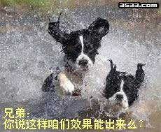 搞笑动物QQ表情_QQ表情插图14