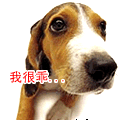 搞笑动物QQ表情_QQ表情插图12