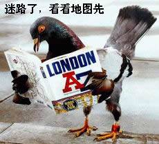 搞笑动物QQ表情_QQ表情插图18