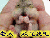 Sorry道歉搞笑QQ表情_QQ表情插图7