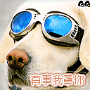 超BT搞笑QQ表情_QQ表情插图7