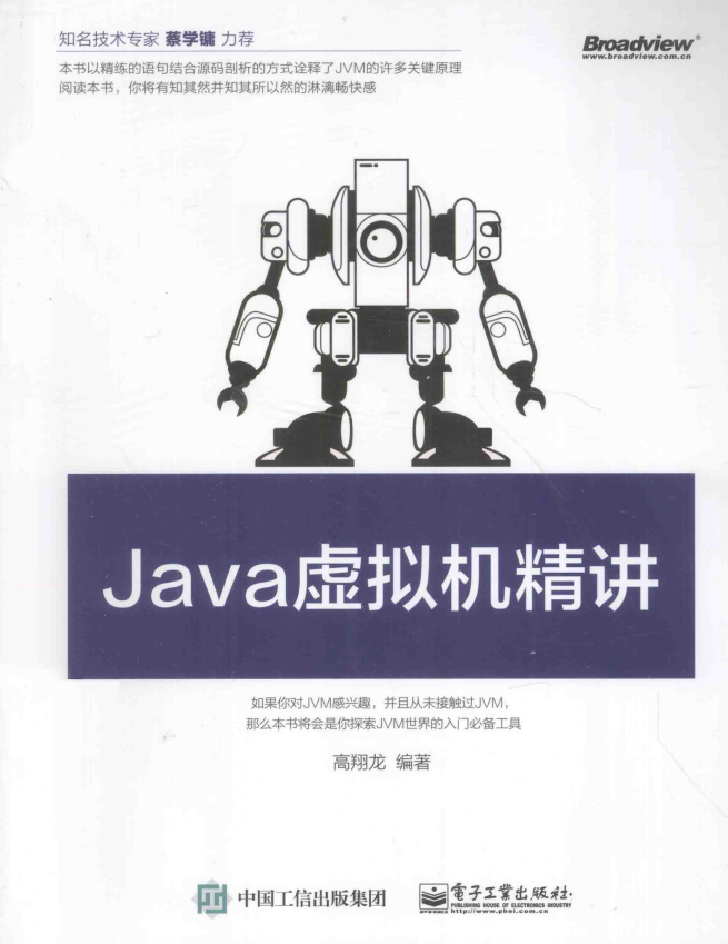 Java虚拟机精讲 （高翔龙著） 带书签目录 中文插图