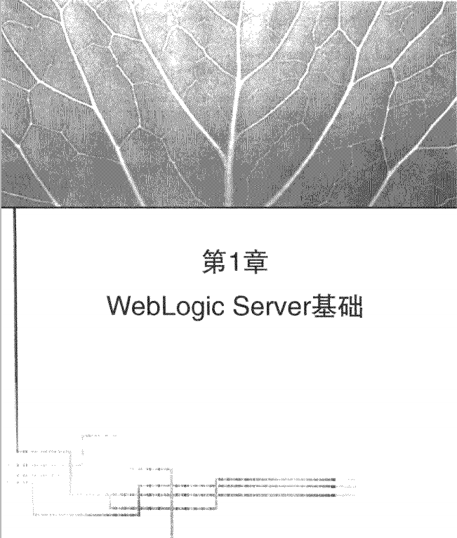 weblogic管理指南 中文PDF插图