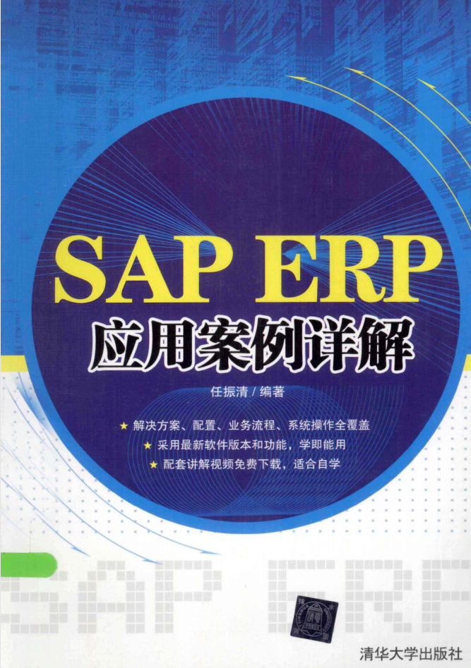 SAP ERP应用案例详解插图