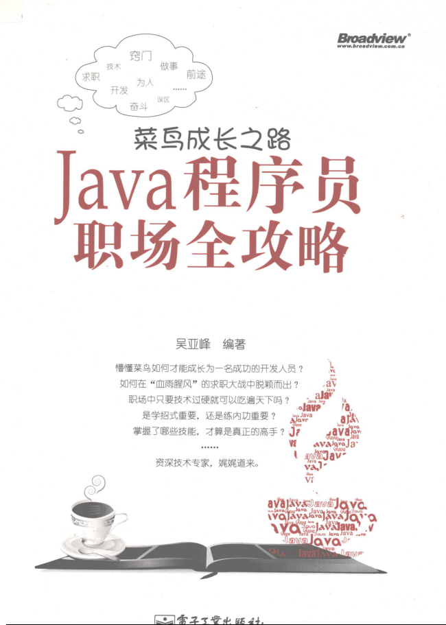 菜鸟成长之路：Java程序员职场全攻略插图