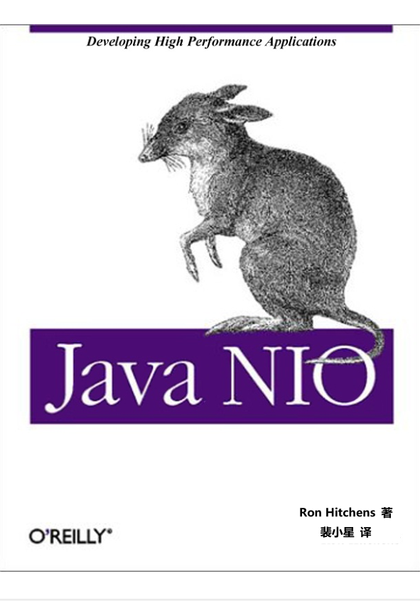 Java NIO中文版插图