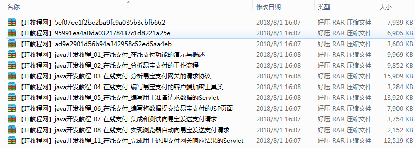Java开发在线支付平台视频教程（12集）插图