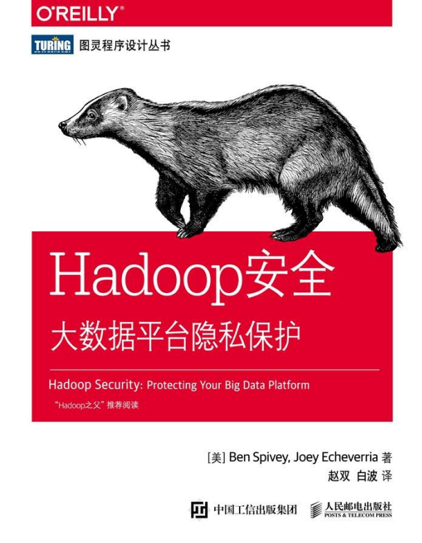 Hadoop安全 大数据平台隐私保护 中文pdf插图