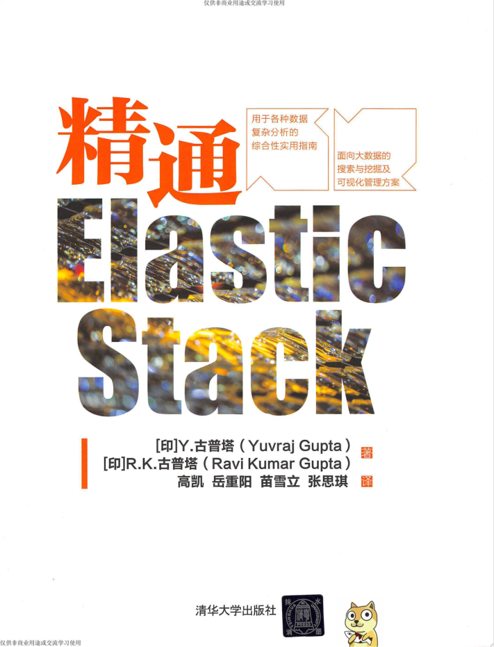 精通Elastic Stack插图