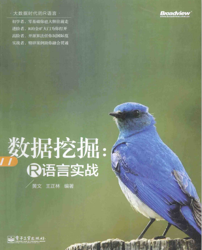 数据挖掘 R语言实战插图