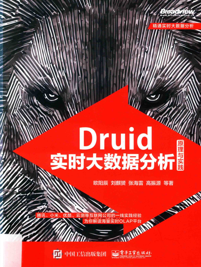 Druid实时大数据分析原理与实践.欧阳辰插图