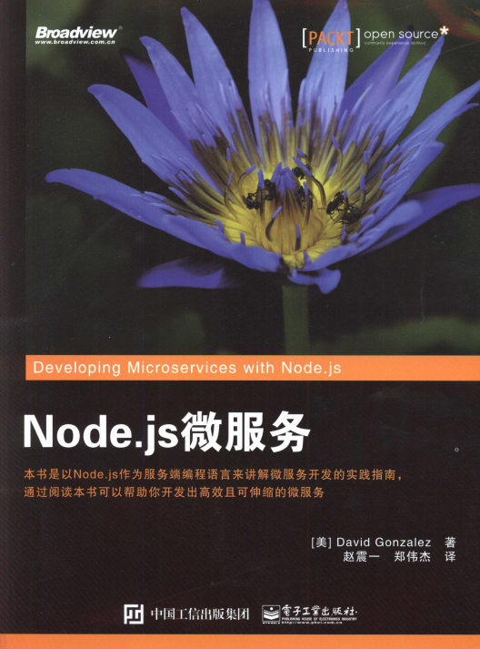 Node.js微服务 完整pdf_前端开发教程插图