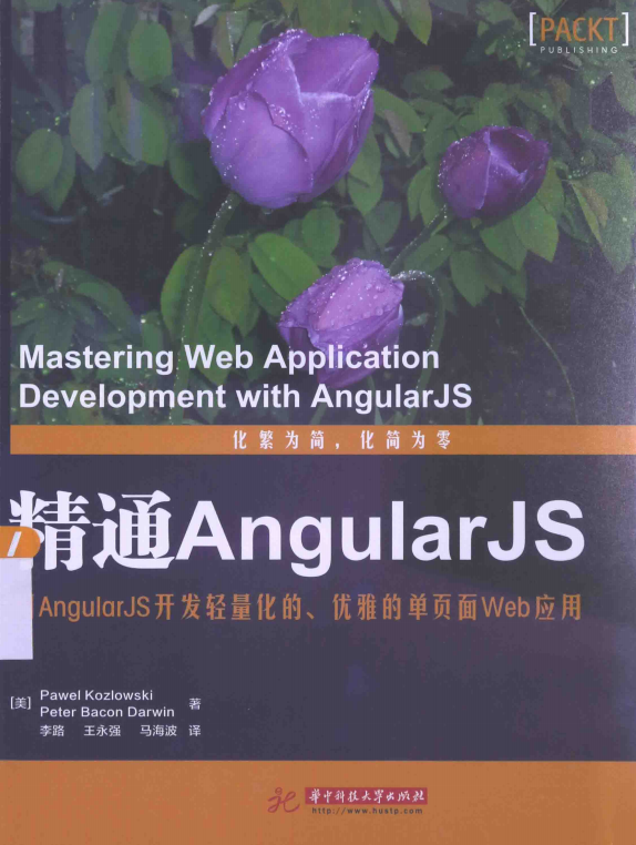 精通AngularJS 中文_前端开发教程插图