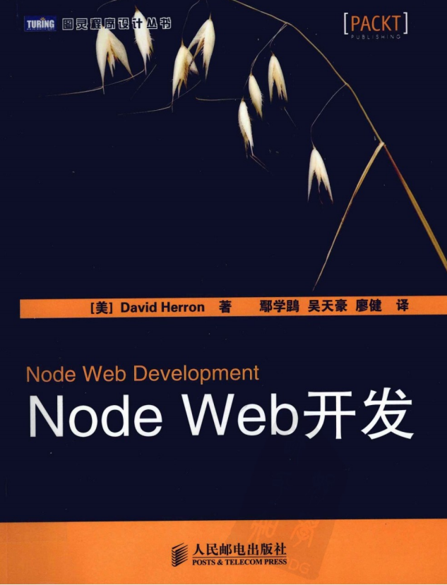 Node Web开发 中文PDF_前端开发教程插图