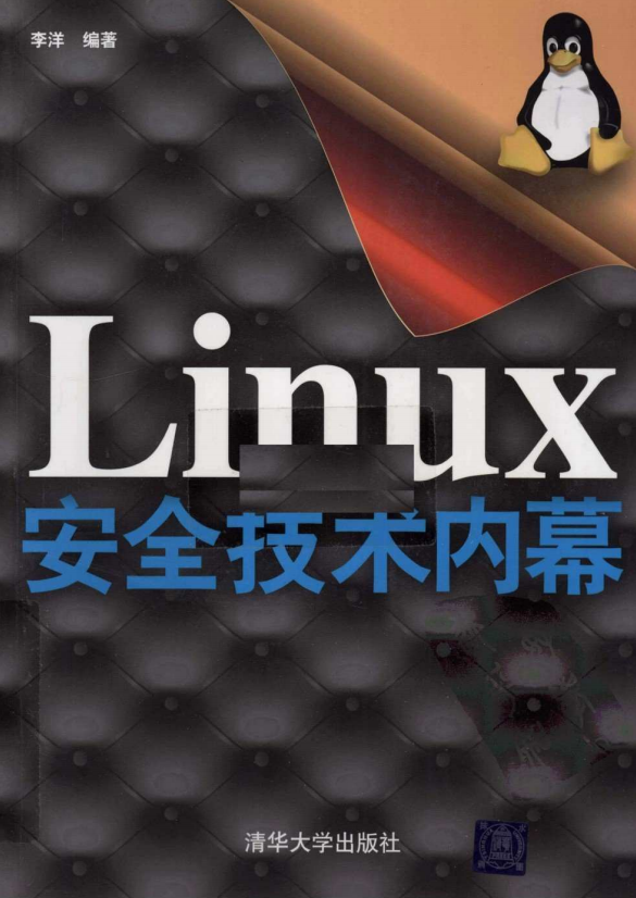 Linux安全技术内幕 PDF_操作系统教程插图