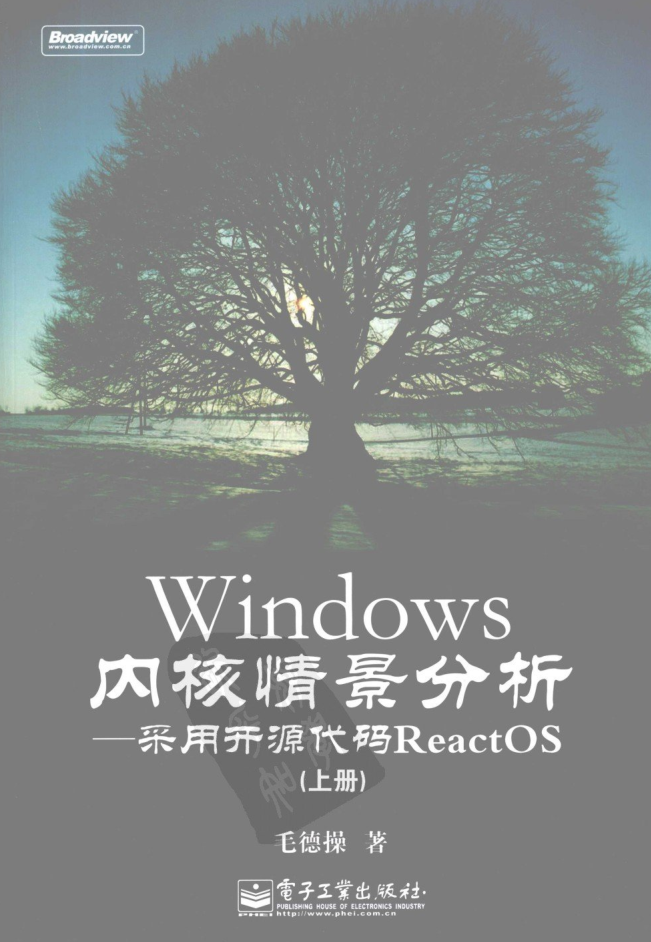 Windows内核情景分析 上 毛德操著 中文_操作系统教程插图
