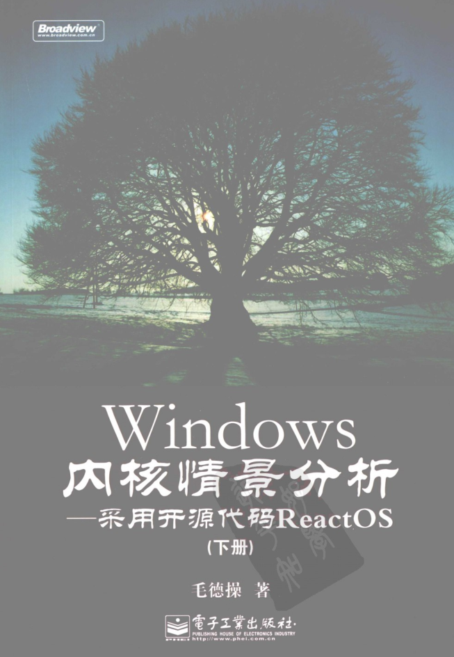 Windows内核情景分析 下 毛德操著 中文_操作系统教程插图