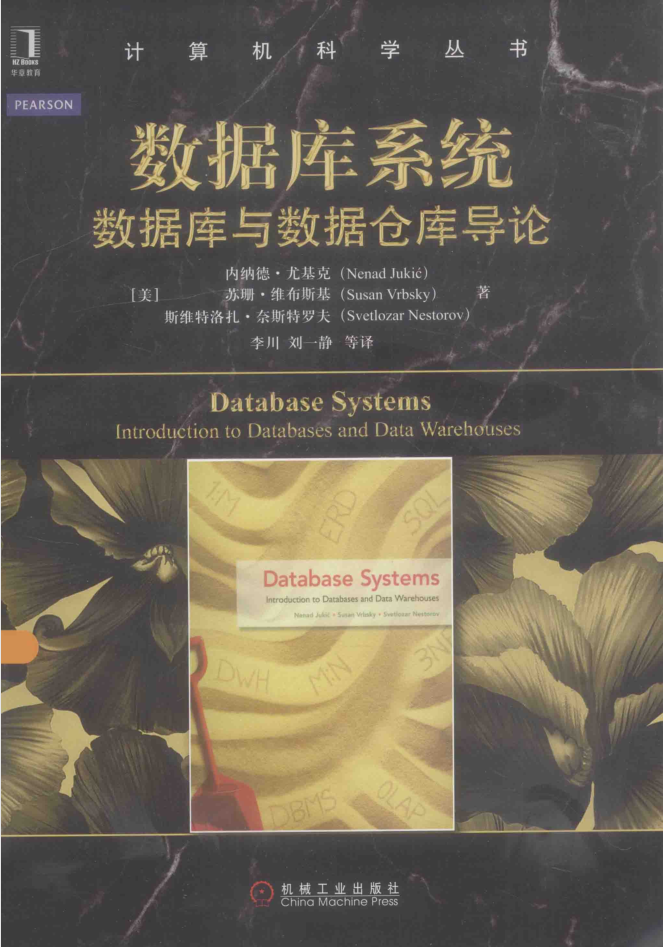 数据库系统.数据库与数据仓库导论_数据库教程插图