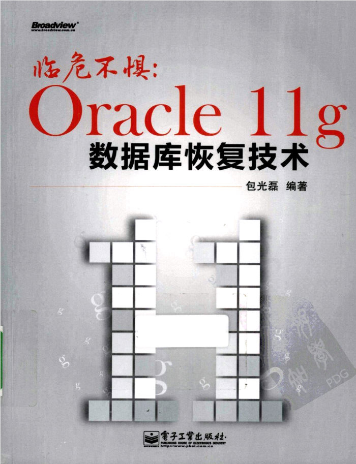 临危不惧：Oracle 11g数据库恢复技术_数据库教程插图