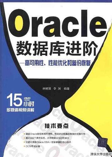 Oracle数据库进阶 高可用性、性能优化和备份恢复_数据库教程插图
