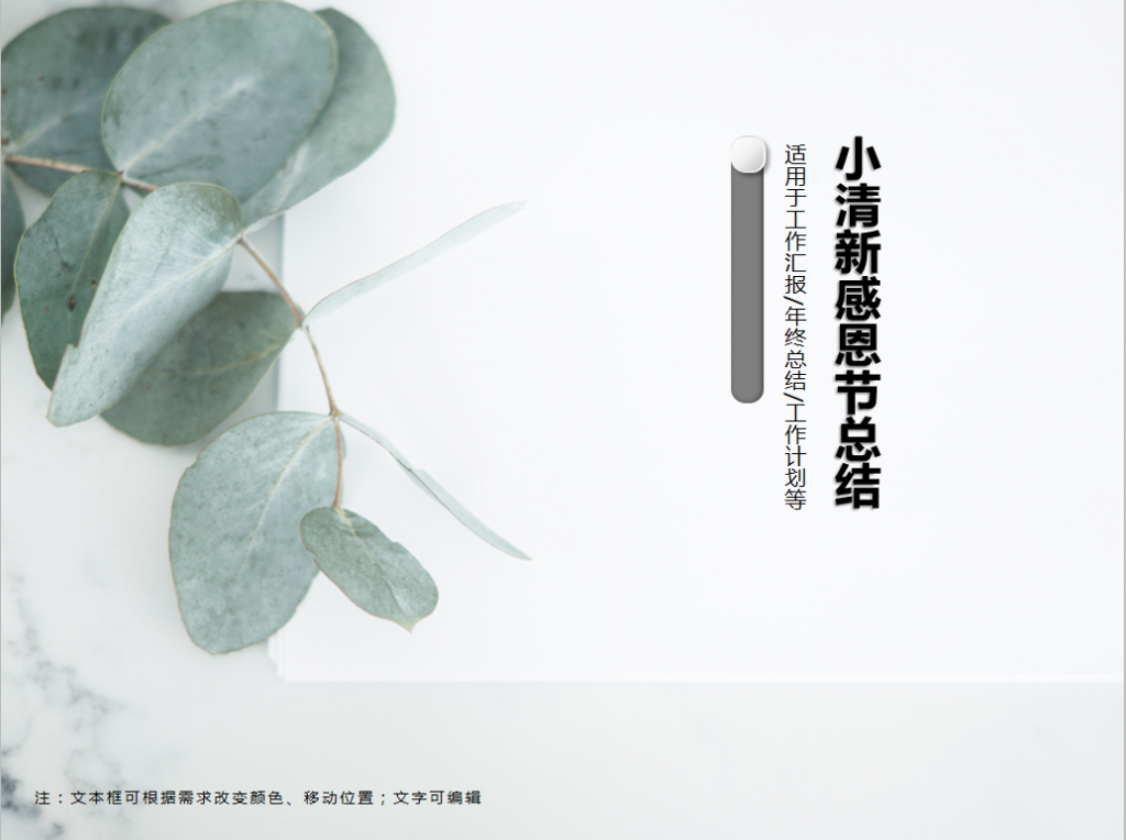 小清新感恩节总结PPT模板插图