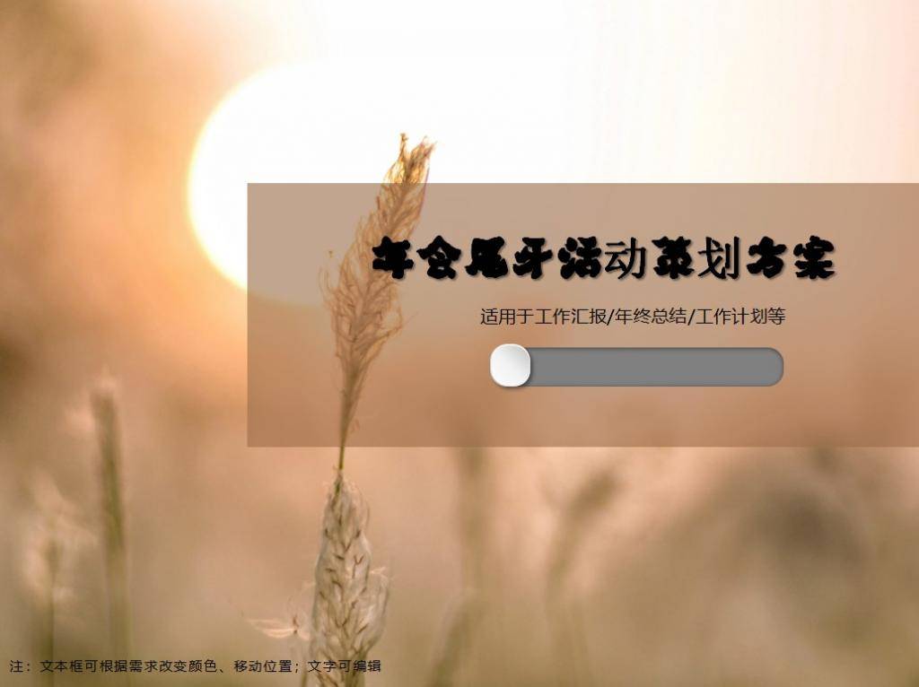 年会尾牙活动方案PPT模板插图
