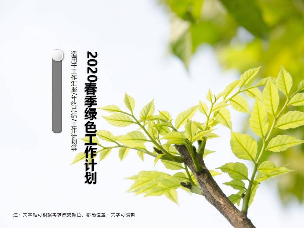 2020年绿色小清新工作计划PPT模板插图