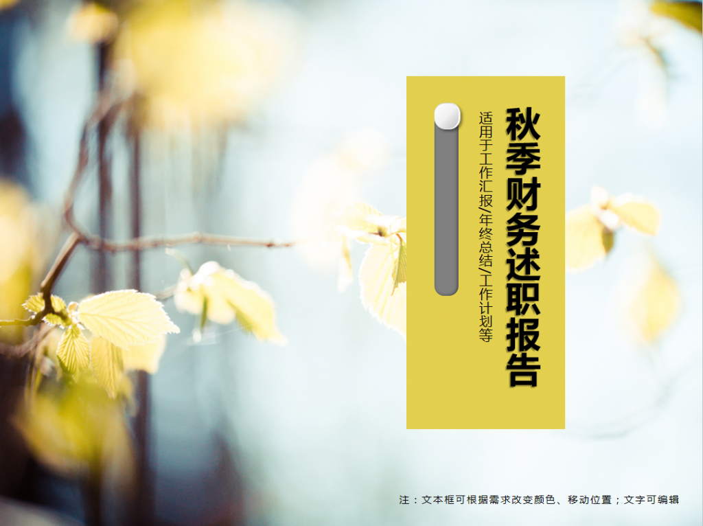 秋季财务个人工作述职报告PPT模板插图