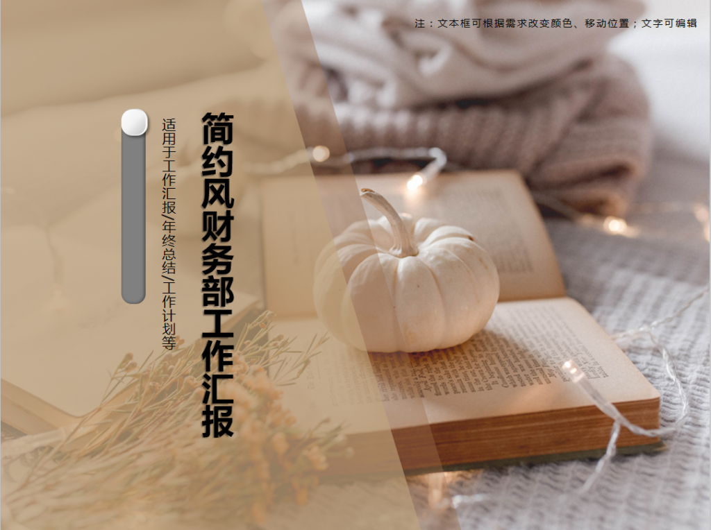 简约风财务部工作汇报PPT模板插图